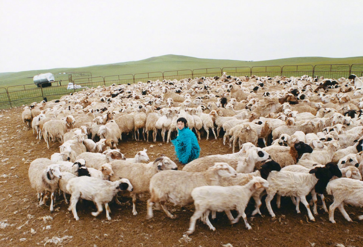 郭采洁有多喜欢羊和草原最新游牧大片