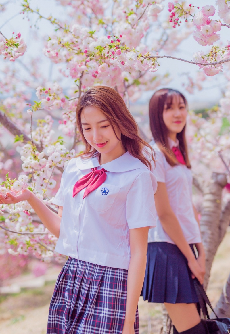 jk制服美女姐妹花樱花树下写真