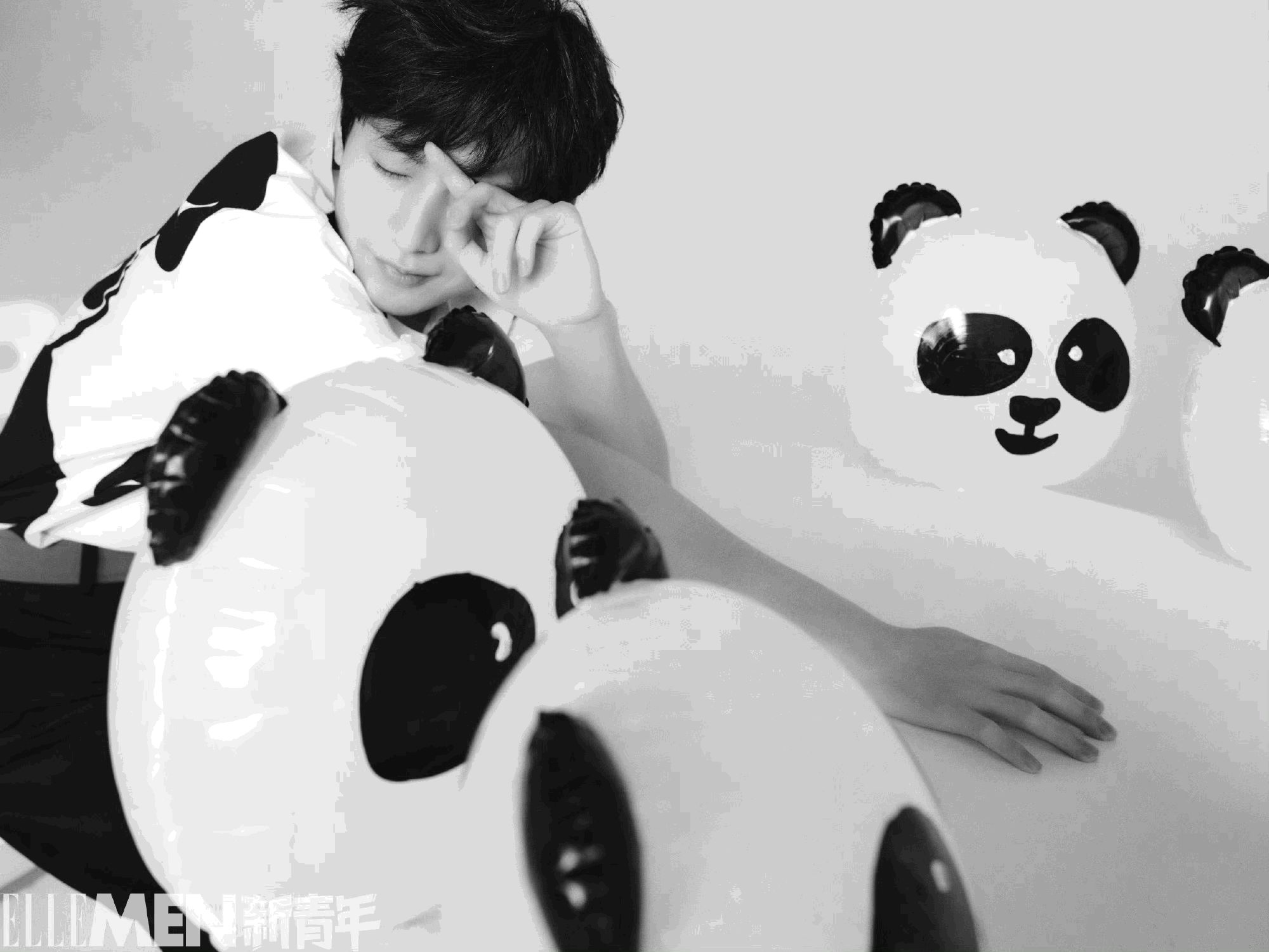 成毅与熊猫为伴少年感十足写真